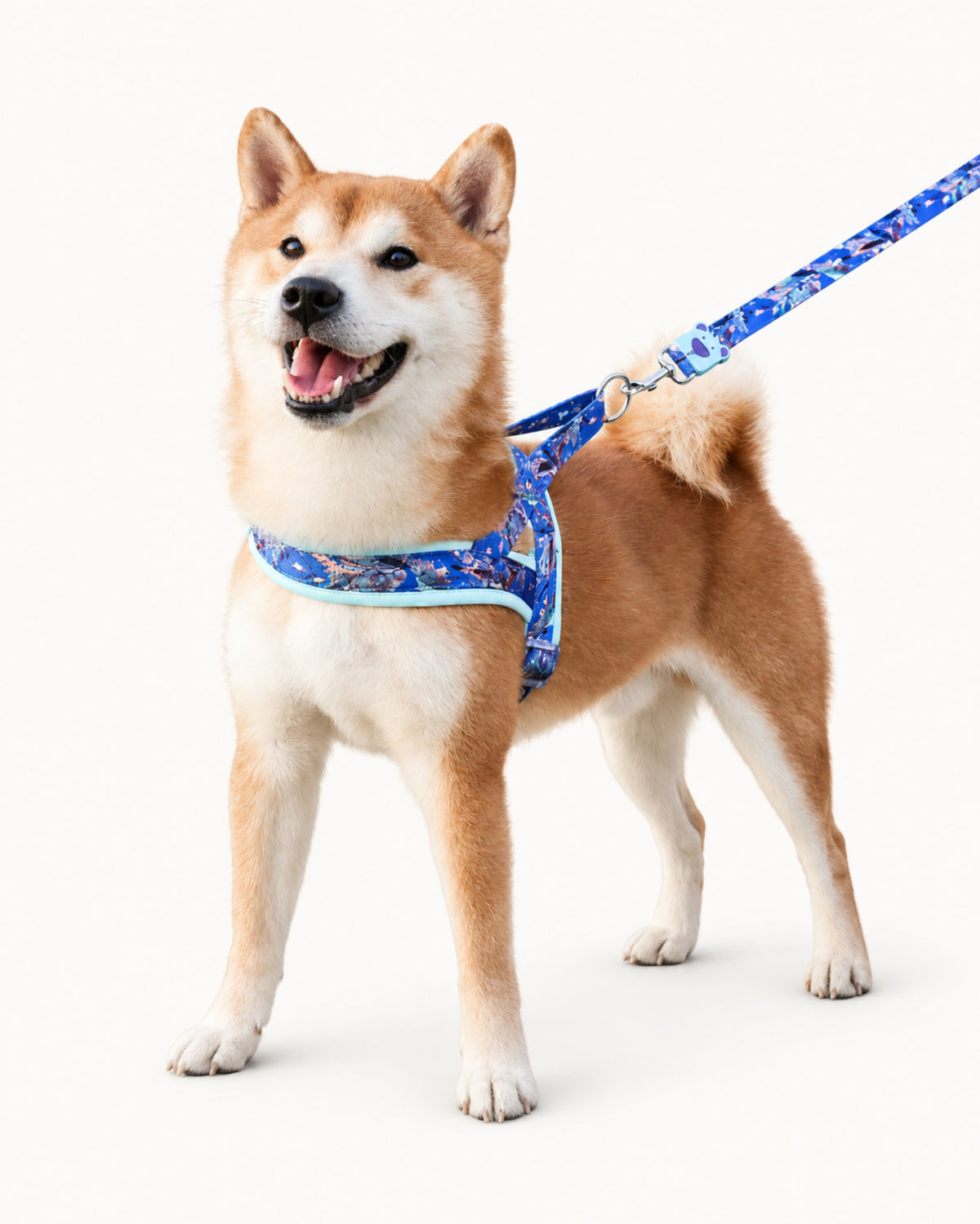 Saddle Dog Harness & Leash Set