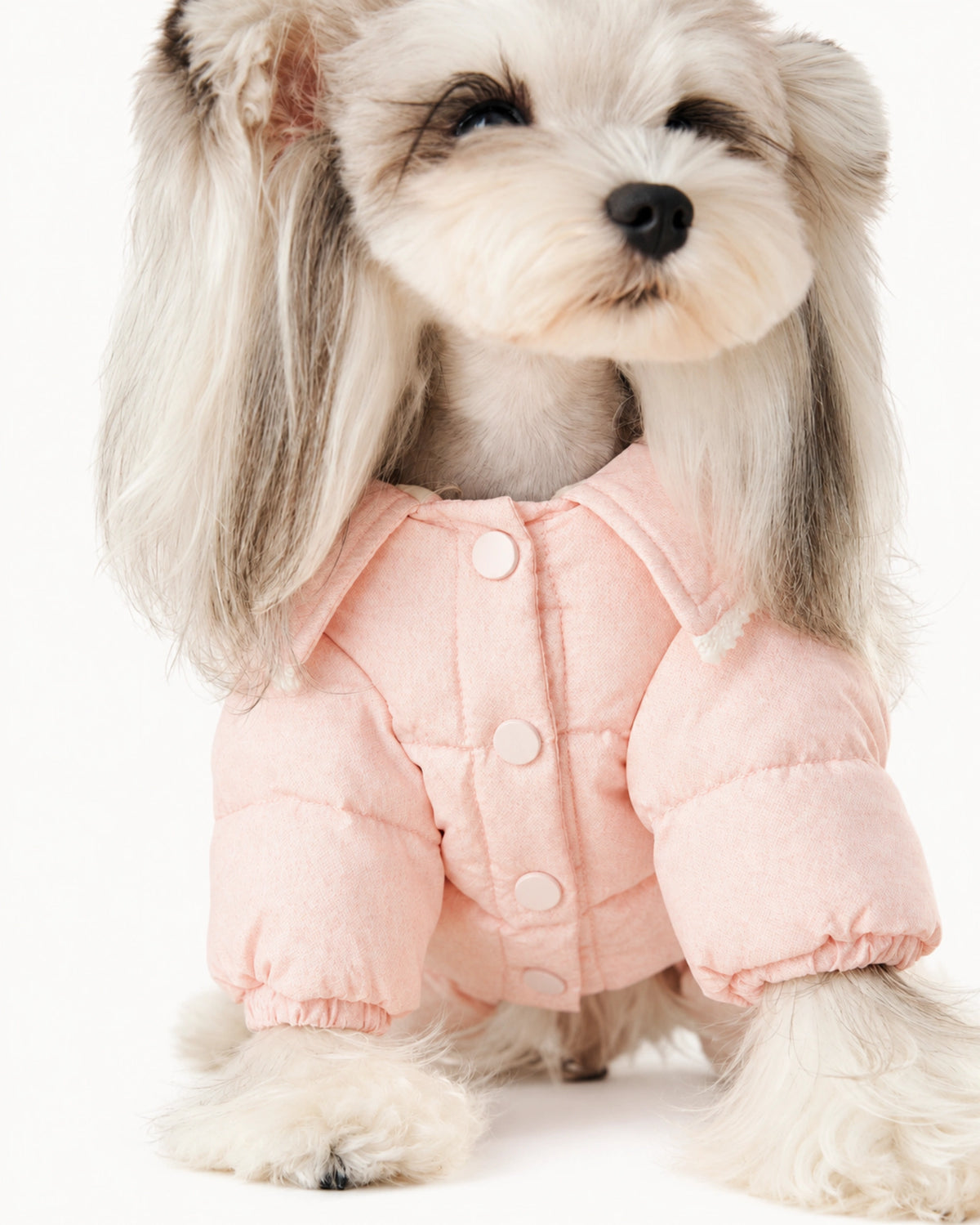 Pink Down Dog Winter Coat
