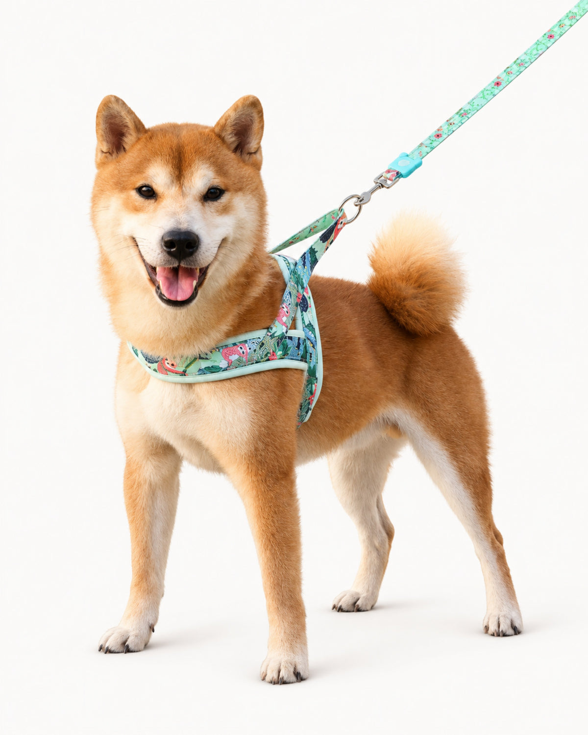 Saddle Dog Harness & Leash Set