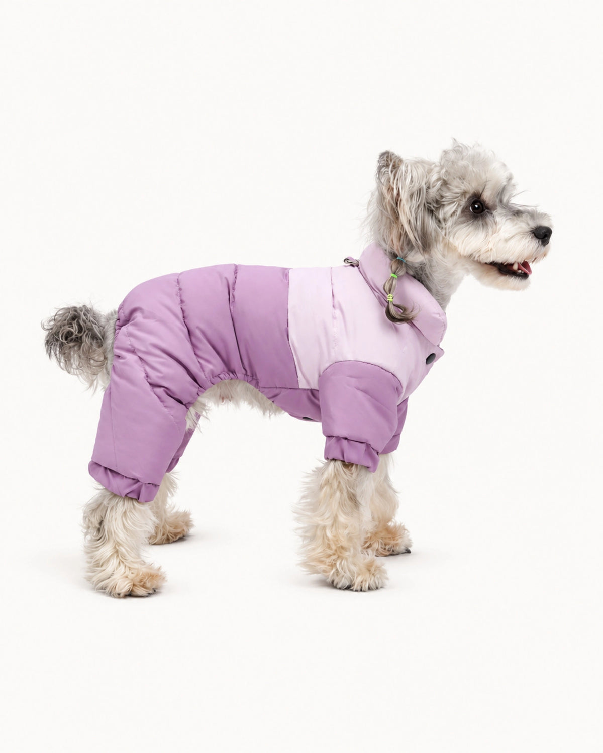 Four-Leg Winter Dog Puffer Coat