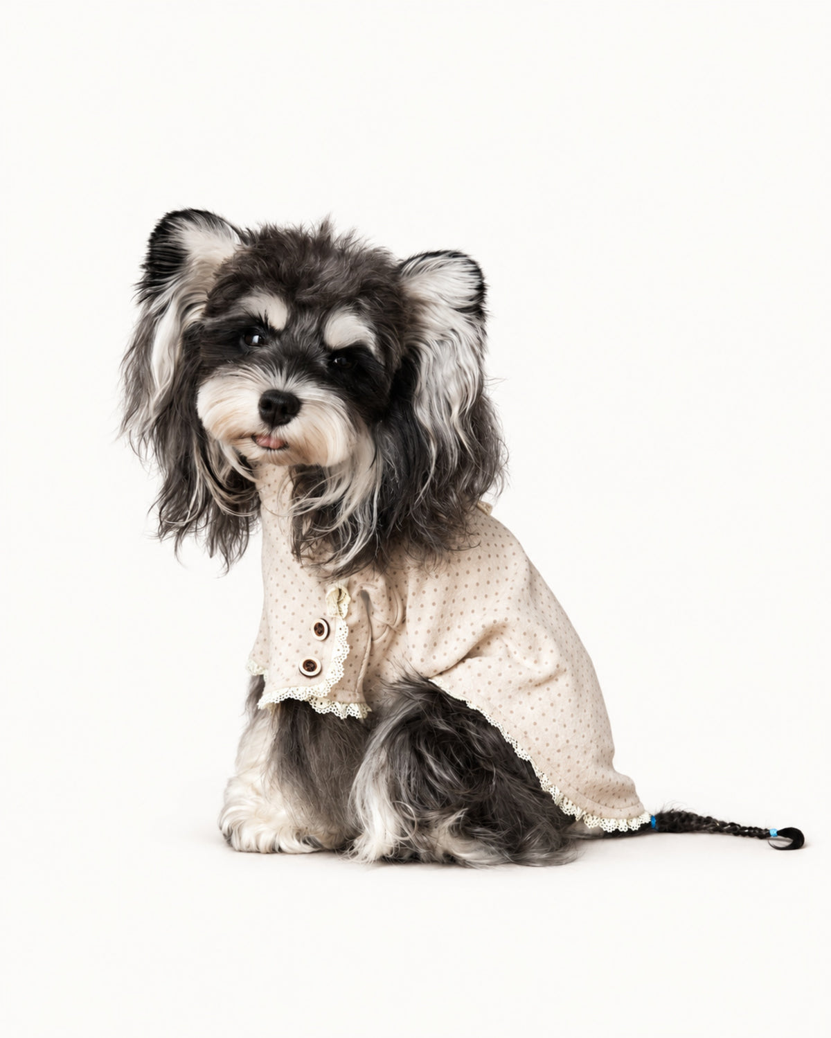 Lace Trim Knit Dog Shirt