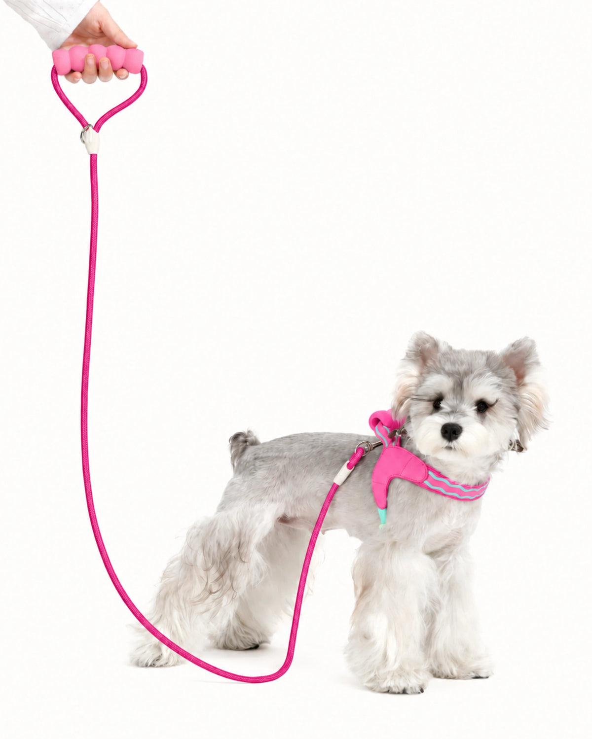 Padded Handle Dog Leash