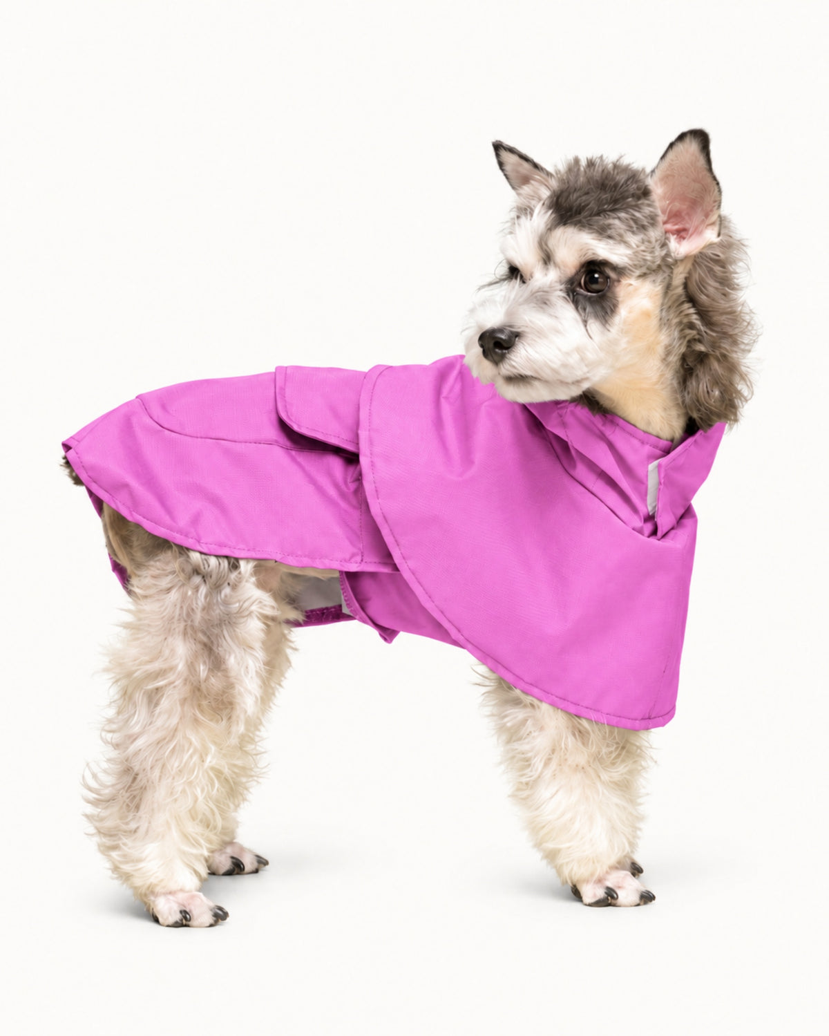 Waterproof Dog Raincoat