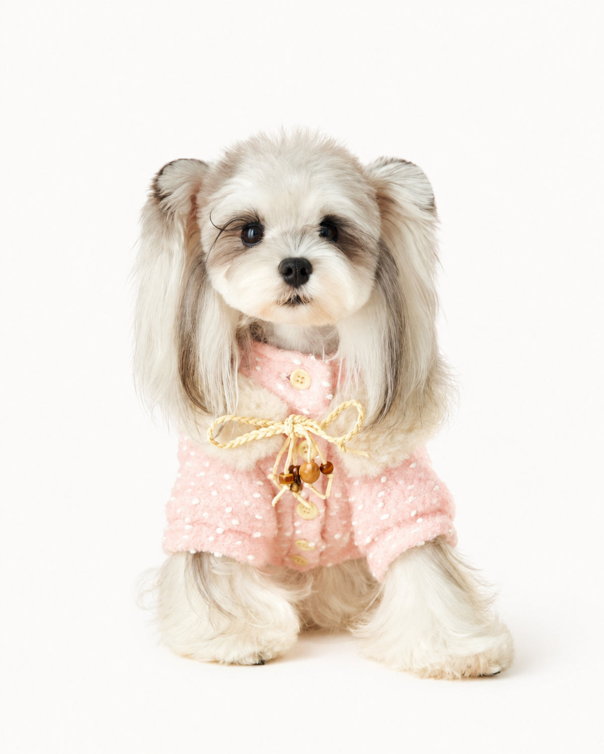 Polka Dot Dog Coat