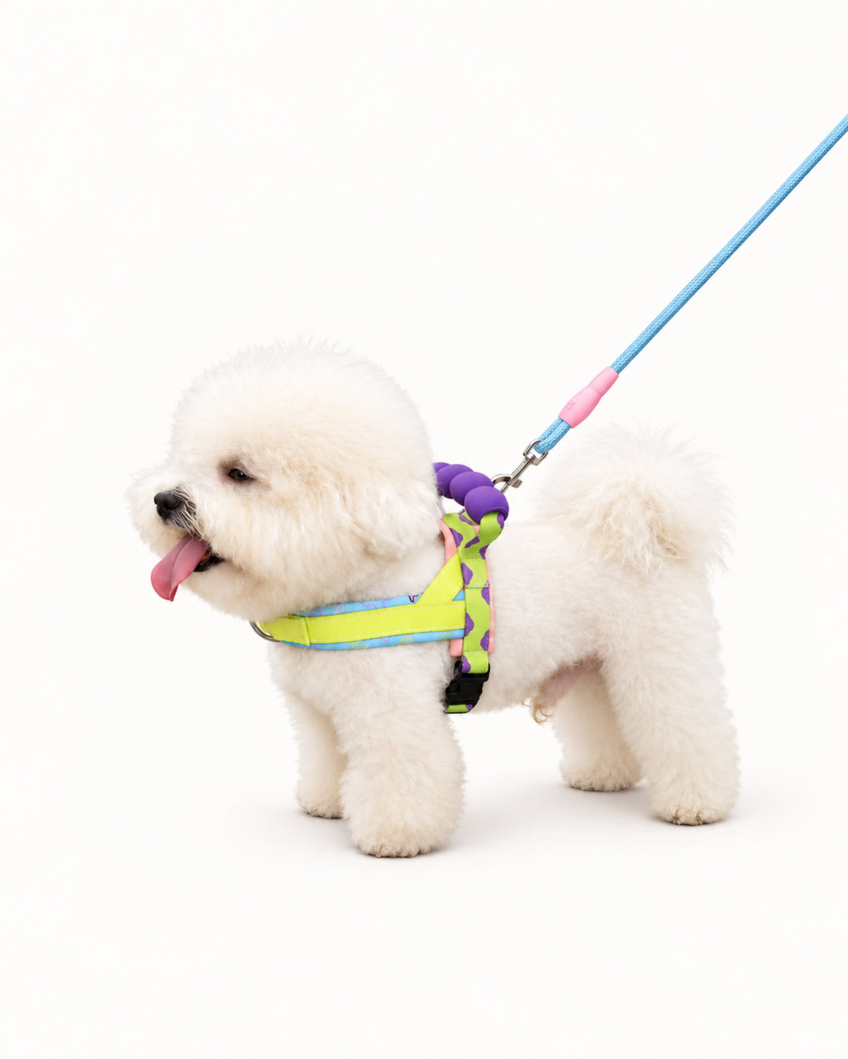 Soft Padded Dog Harness & Leash Set
