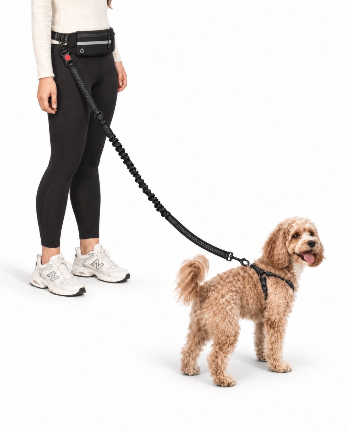 Hands-Free Dog Leash with Waist Pack
