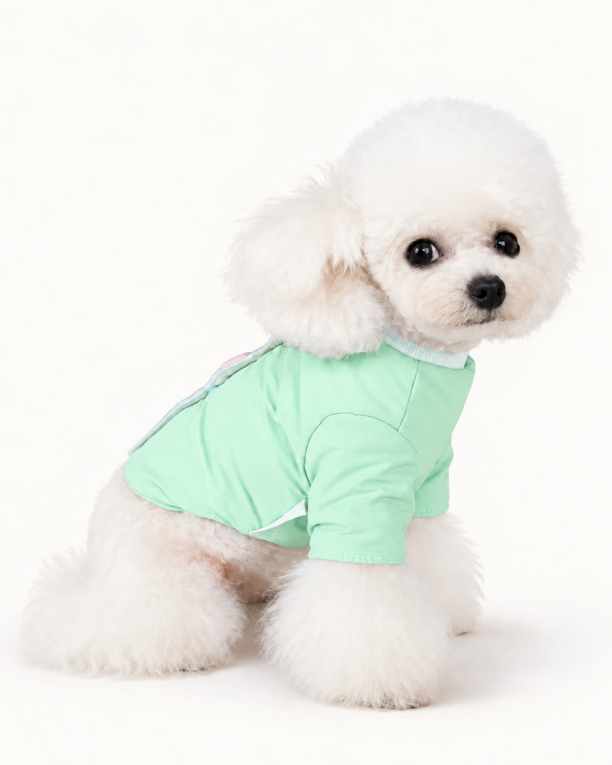 Color Snap Dog Jacket