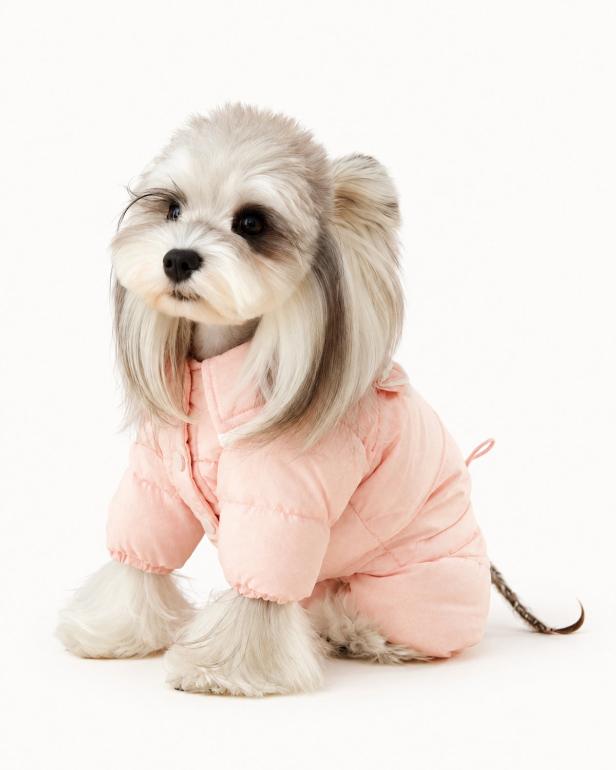 Pink Down Dog Winter Coat