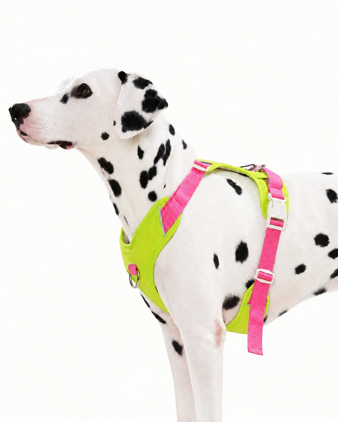 Escape-Resistant Dog Harness & Leash Set