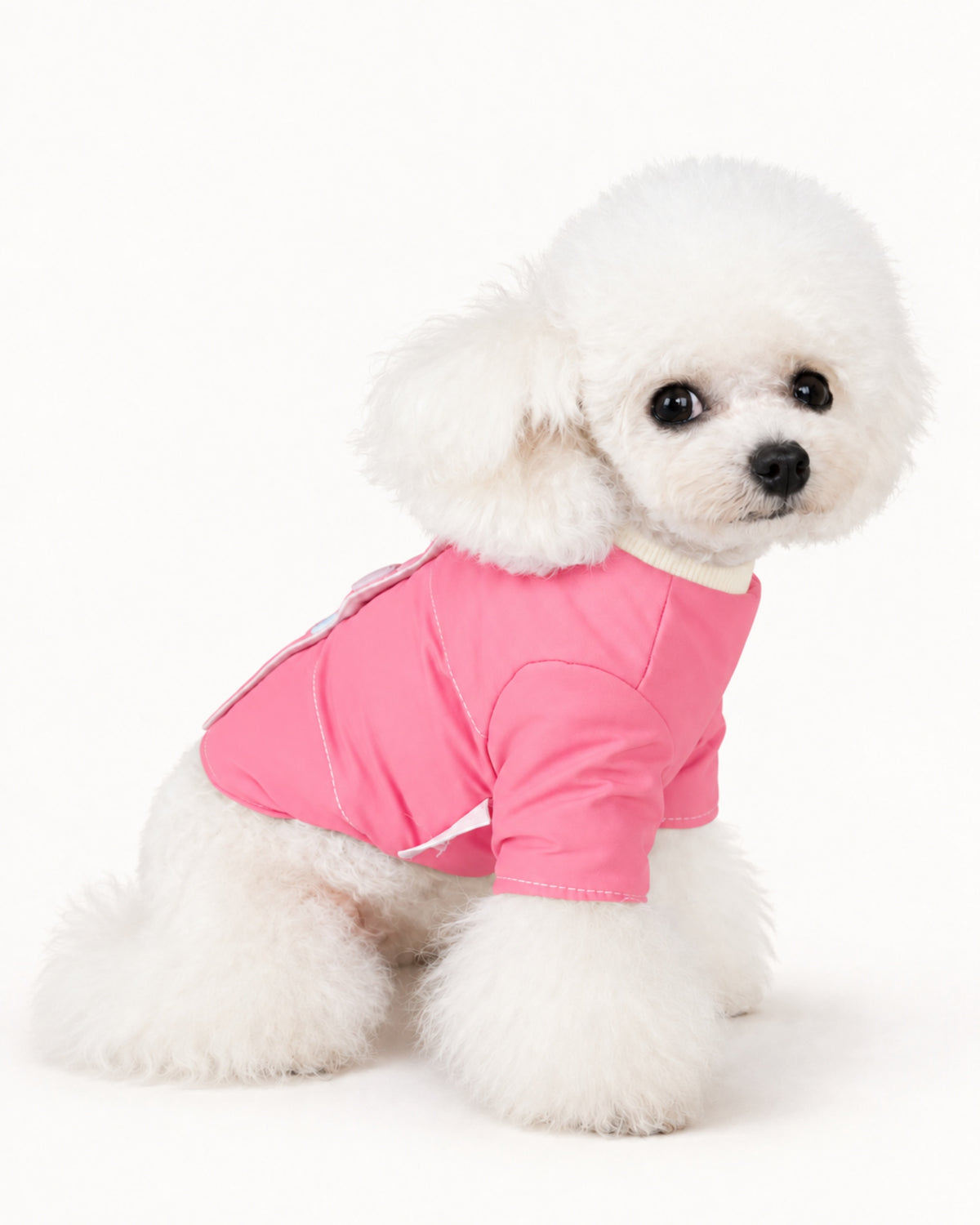 Color Snap Dog Jacket