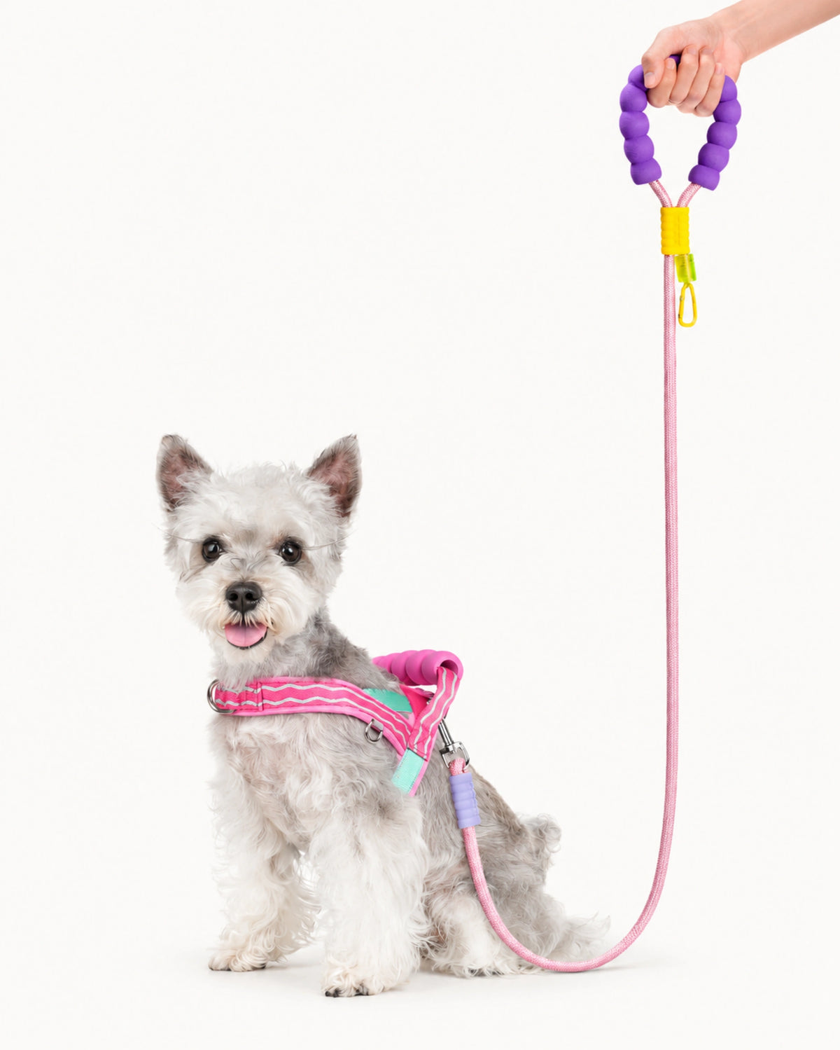 Lightweight Dog Harness