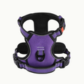 Reflective Dog Harness Set