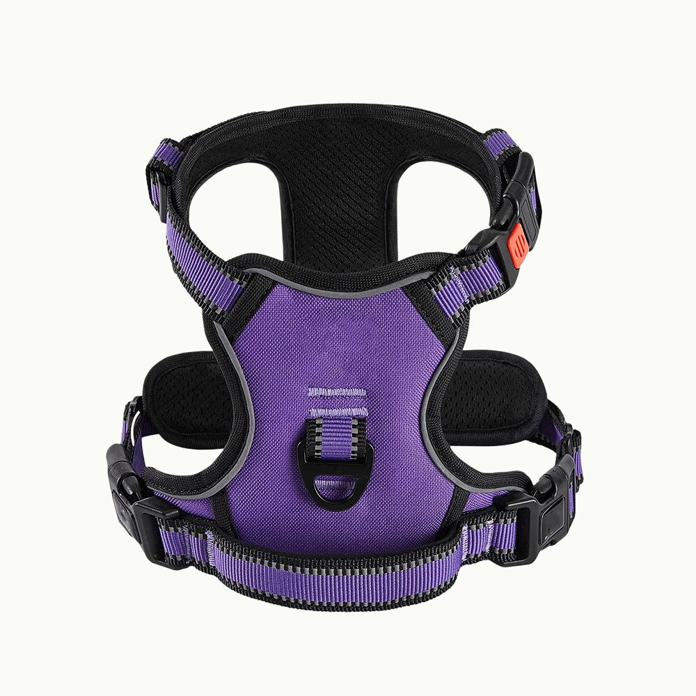 Reflective Dog Harness Set
