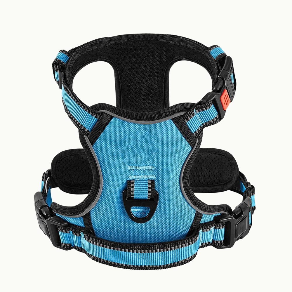 Reflective Dog Harness Set