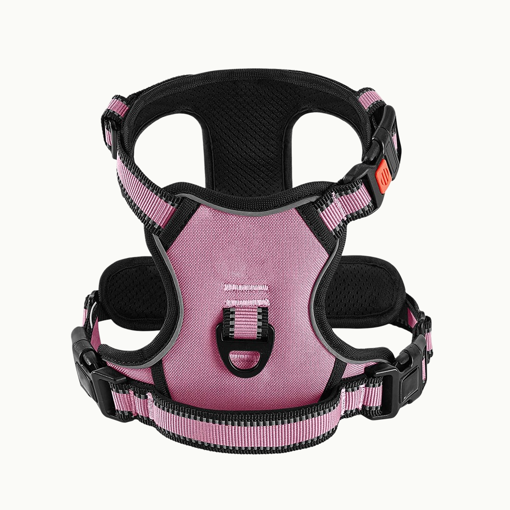 Reflective Dog Harness Set