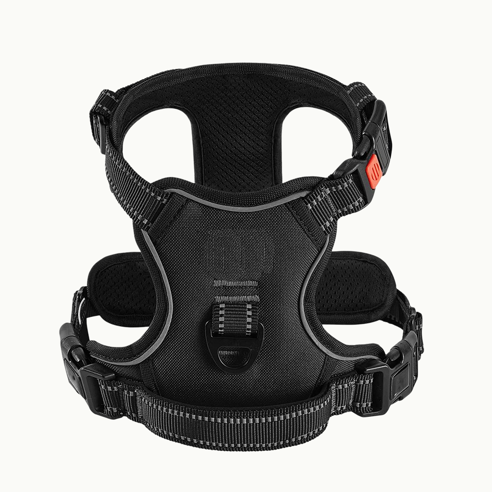 Reflective Dog Harness Set