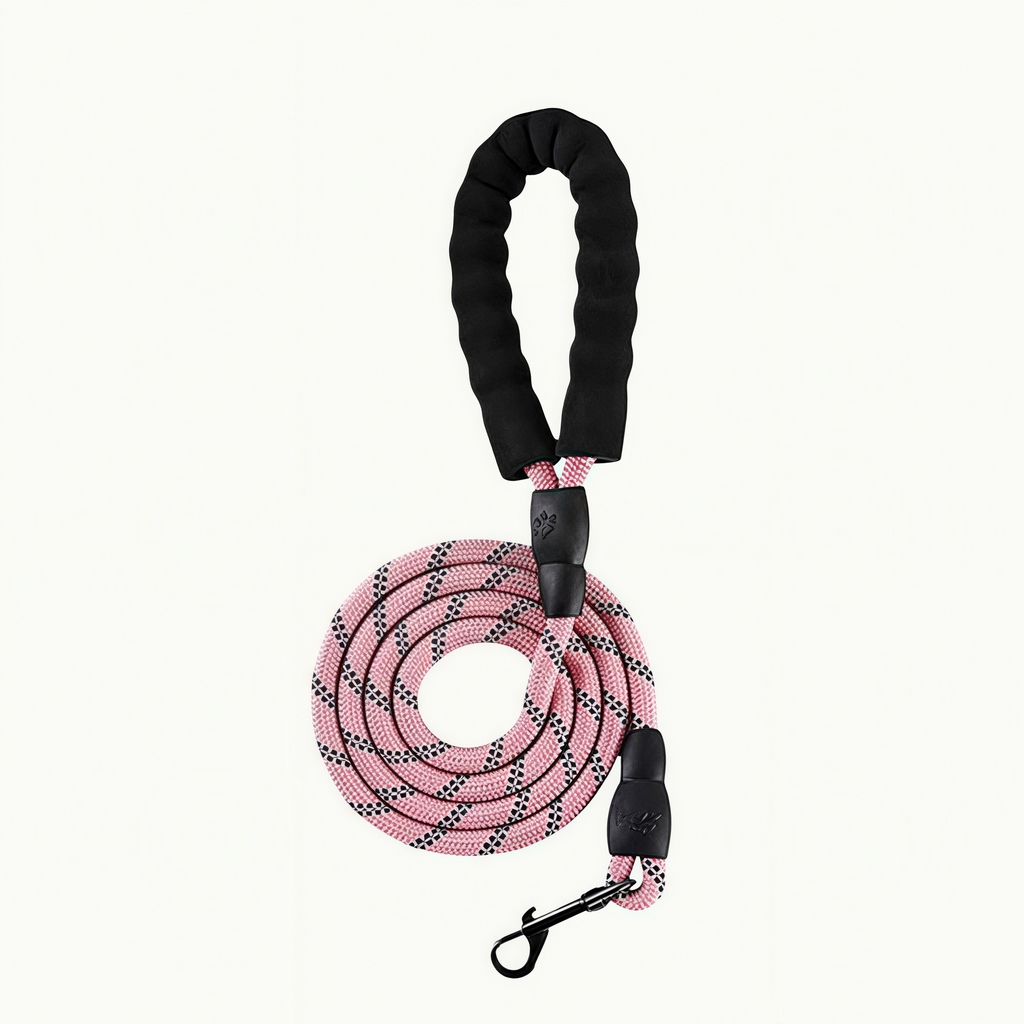 Dog Leash