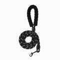 Dog Leash