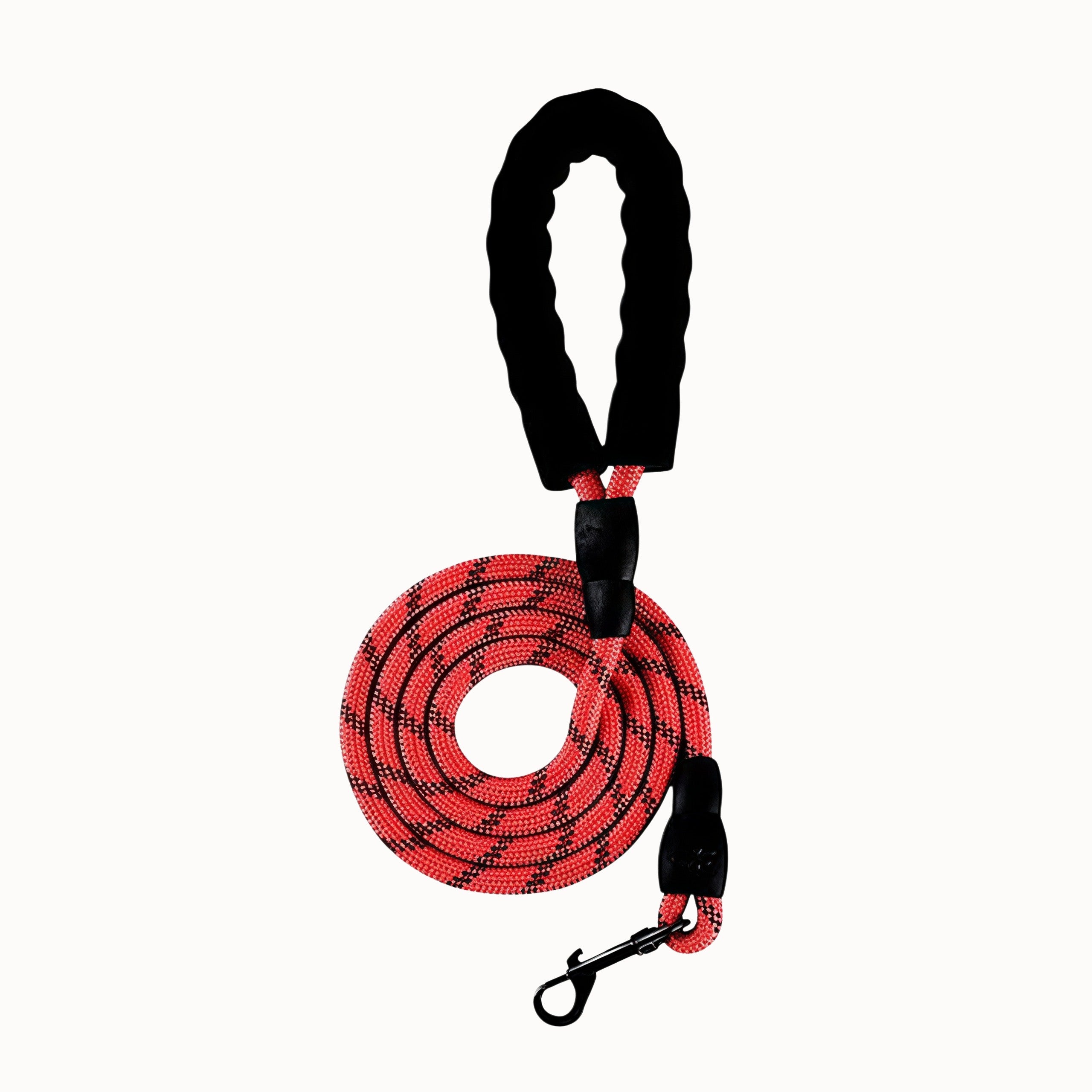Dog Leash