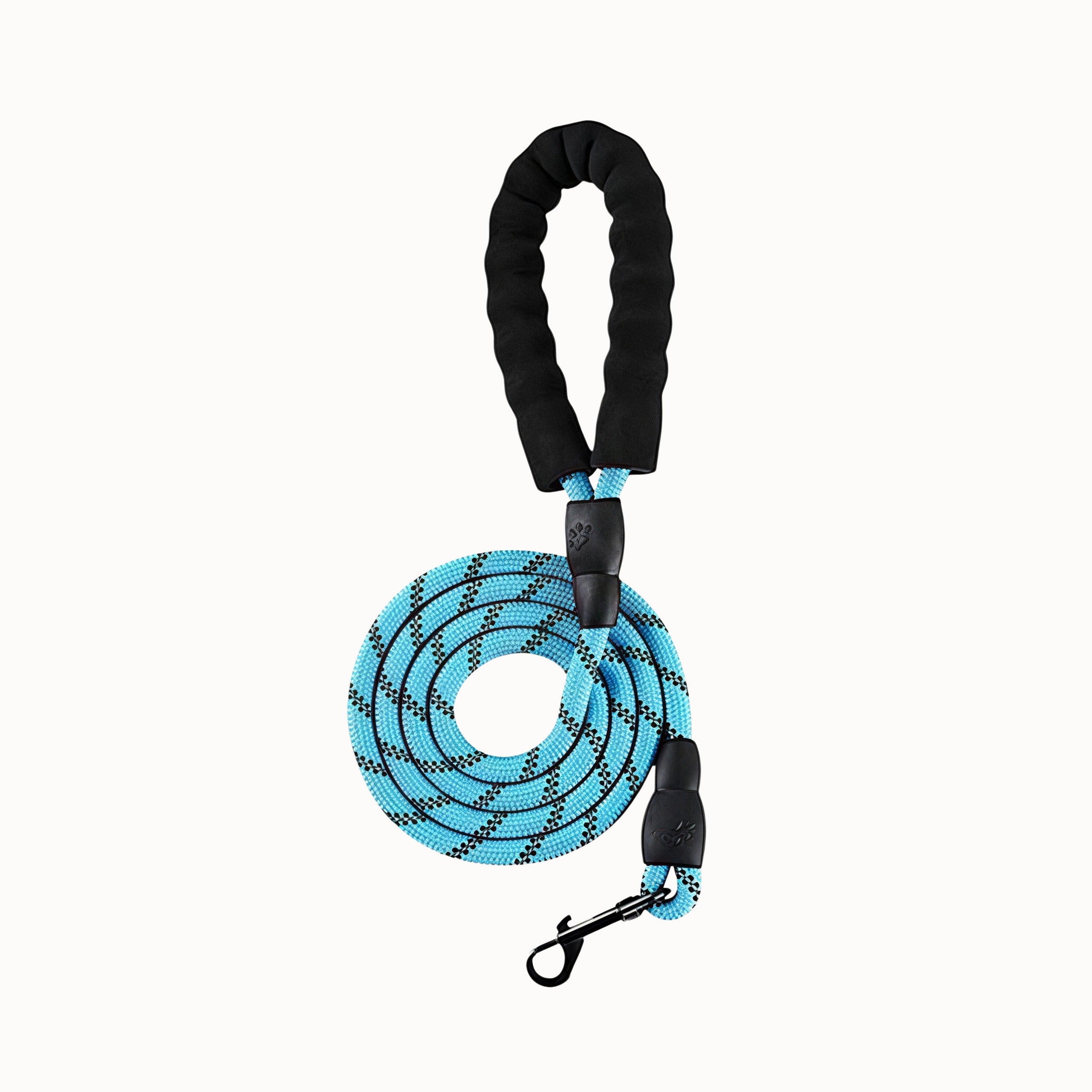 Dog Leash
