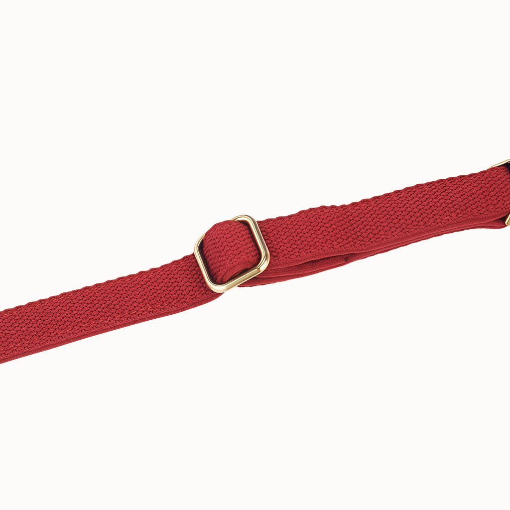 Soft Padded Dog Collar