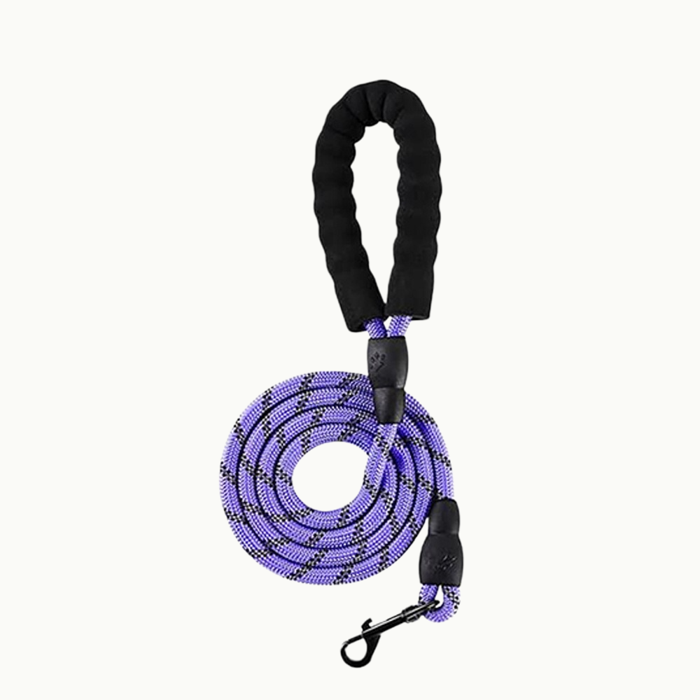 Dog Leash