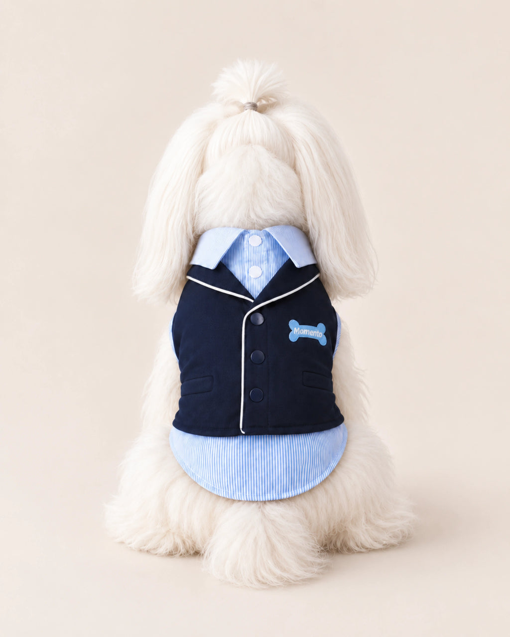 Dog Gentleman Outfit