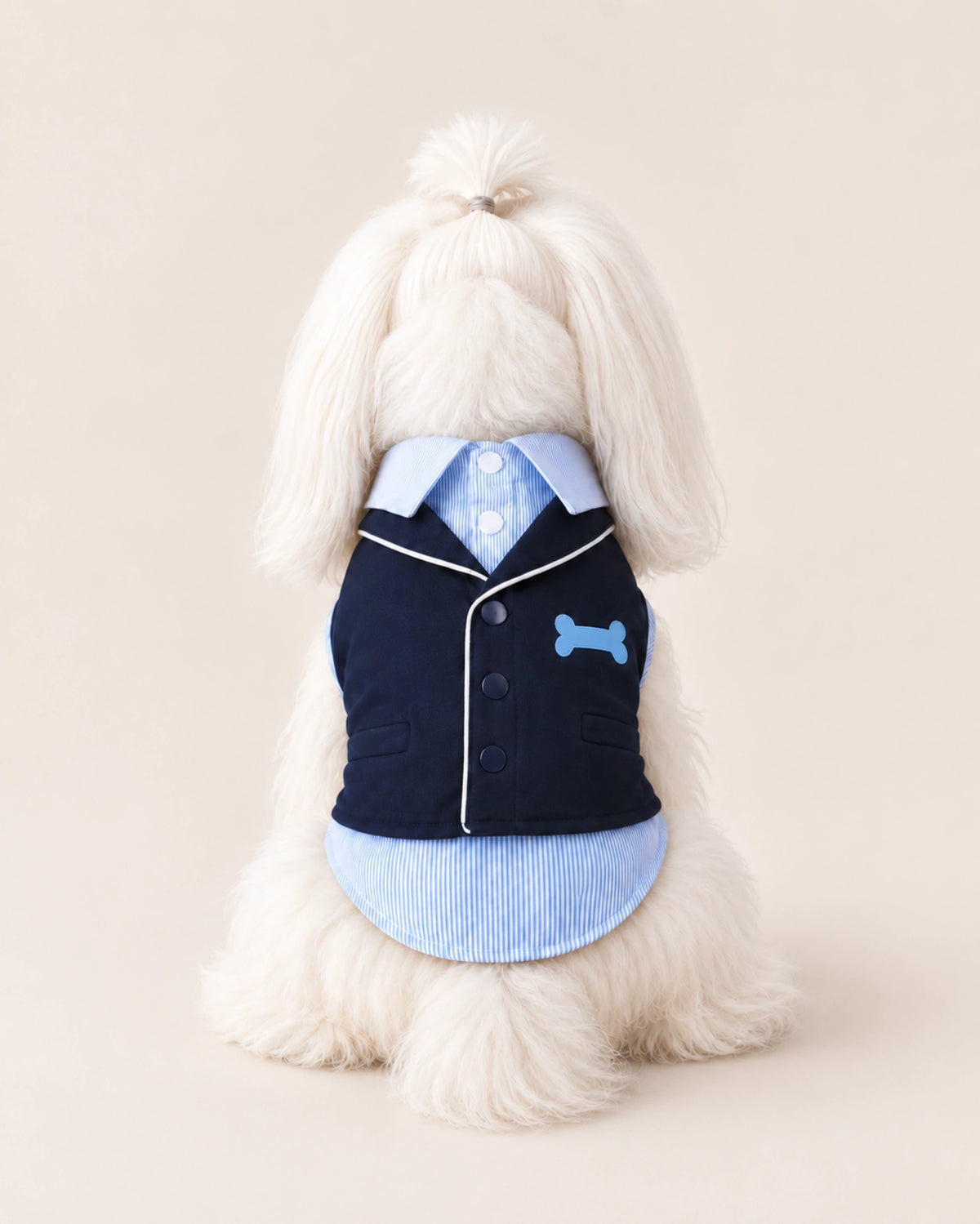 Gentleman Dog Outfit