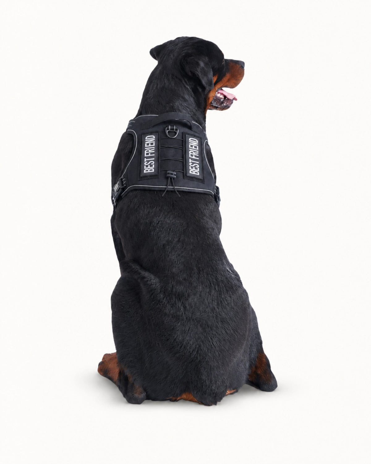 Adjustable Tactical Dog Harness