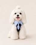 Gentleman Dog Outfit