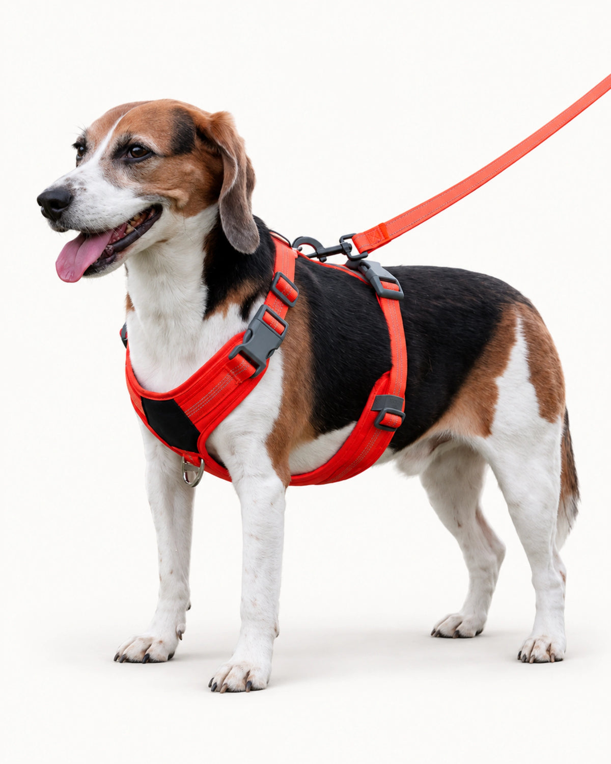 Adjustable Oxford Dog Harness